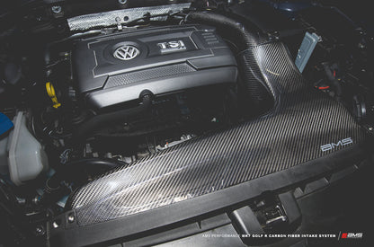 AMS Carbon Fiber Intake System - MK7/7.5 GTI/Golf R